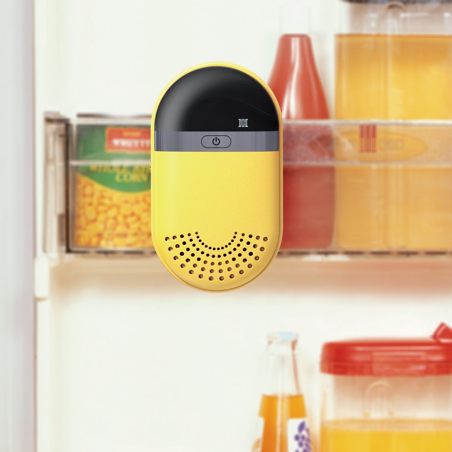 冷蔵庫の臭いを消臭!「 CD-01」